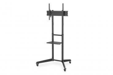 TV presentation cart 